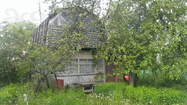 Продаю дачу Владимир, Владимирская область Судогодский р-н СНТ "Ладога"