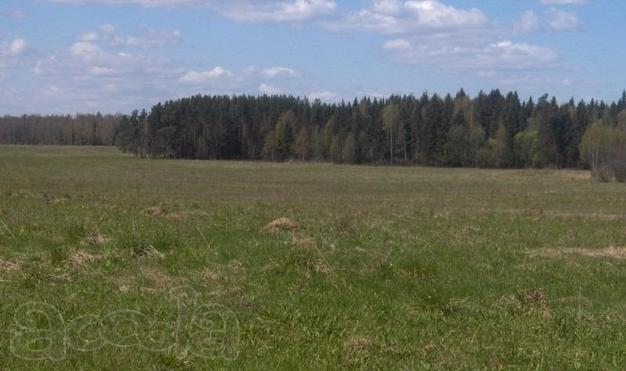 Продаю 67 гектаров земли сельхозназначения